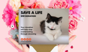 Gift Of Life E Cards: E-Card $50 Save a Life Donation