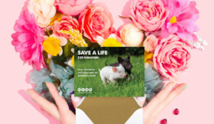 Gift Of Life E Cards: E-Card $30 Save a Life Donation