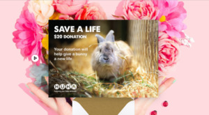 Gift Of Life E Cards: E-Card $20 Gift of Life Donation