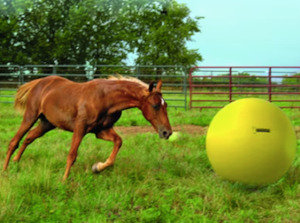 Huhas Wish List: Wish List Horse Power Play Ball