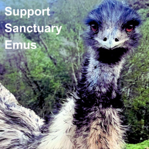 Huhaheroes: Support Weemu