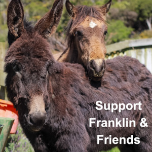 Huhaheroes: Support Franklin & Friends
