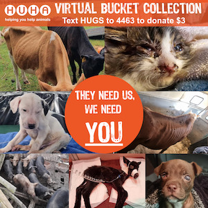 Donations: VIRTUAL Bucket Collection