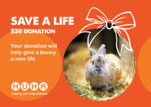 Christmas Gift of Life Card- Give a Bunny a New Life