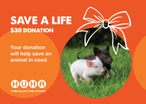Christmas Gift of Life Card- Help with Rescue & Care Costs