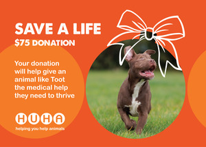 Have A Huha Christmas: Christmas Gift of Life Card- Help with Medical Costs