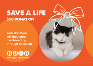 Have A Huha Christmas: Christmas Gift Of Life Card- Desexing