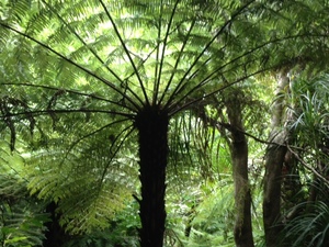 February, 2016 - Huia