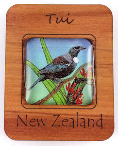 Magnets: G036 Magnet - Tui