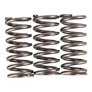 Premier Clutch Springs - Heavy Duty