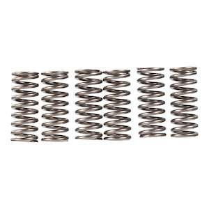 Premier Clutch Springs - Heavy Duty