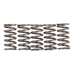 Premier Clutch Springs - Heavy Duty