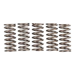 Premier Clutch Springs - Heavy Duty
