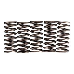 Premier Clutch Springs - Heavy Duty