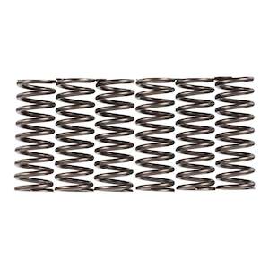 Premier Clutch Springs - Heavy Duty