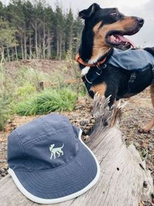 Products: The 3R Cap