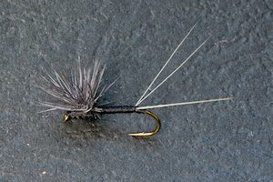 Black Huberts - Kiwi Fly Fishing