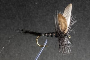 Dry Flies: Black Spinner - Kiwi Fly Fishing