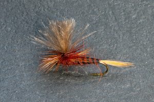 Dry Flies: BG Merger - Kiwi Fly Fishing