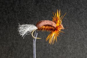 Dry Flies: Rusty Beetle - Kiwi Fly Fishing