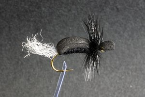 Dry Flies: Scott Black Beetle - Kiwi Fly Fishing