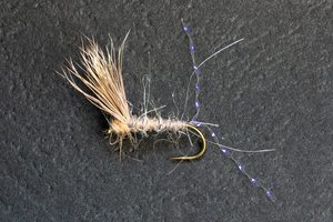 Scotts Brush - Kiwi Fly Fishing