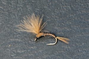 SI CDC Emerger - Kiwi Fly Fishing