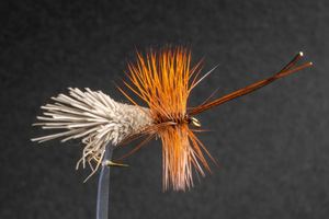 Dry Flies: Tassie Moth - Kiwi Fly Fishing
