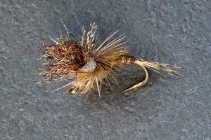 Dry Flies: Taz Merg - Kiwi Fly Fishing