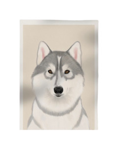 Promotions: Kodah Print A4