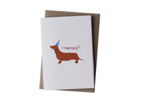 Hello Petal: Hooray! Blooming Card