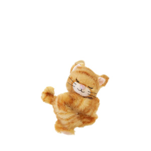 Binky Kitten Koda - Ginger