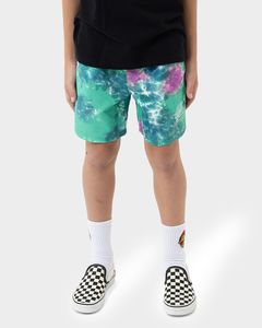 Santa Cruz: Santa Cruz Industrial Dot Mono Boardshort