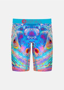 Ethika: Ethika Boys Glowzilla Staple