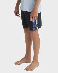 Quiksilver: Quiksilver Interconnect Volley Youth Swim Shorts