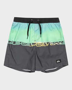 Boys Swimwear: Quiksilver Everyday Straight Volley Youth 14"