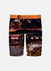 Ethika: Ethika Boys Always Primal Staple