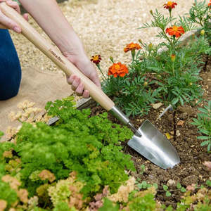 Garden Tools: Border Hand Trowel - Kent & Stowe, long & short handle