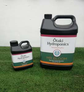 Featured Selection: Mr Bloom