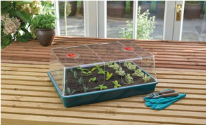 Plant Growing Trays: Propagator - XL High Dome
