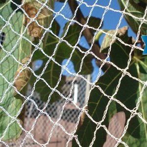 Organic Natural Pest Control: Bird netting 5 m wide