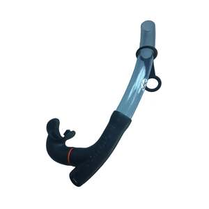 Intermediate Advanced Players Gear: Canal2 Snorkel