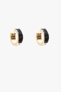 Jewellery: Raven Earring