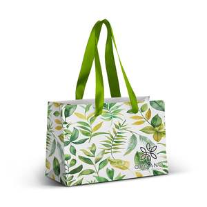 Bags: Small Ribbon Handle Paper Bag - Full Colour
