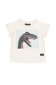Rock Your Kid Smile Dino Short Sleeve T-Shirt Boxy Fit