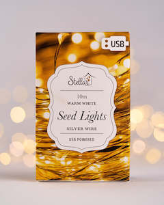 Lamps: 10m USB Silver Warm White 100LED Light String