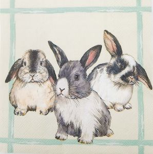 Serviettes: Brown Bunny Napkins