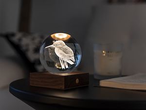 Kingfisher 3D Laser Engraved Light