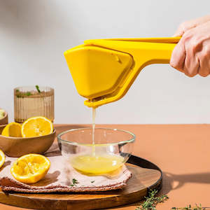 Utensils: Fluicer Lemon