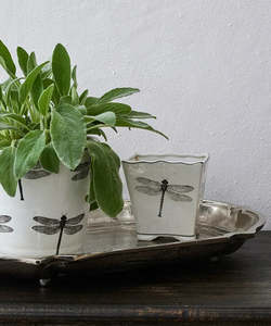 Dragonfly Small Square Planter